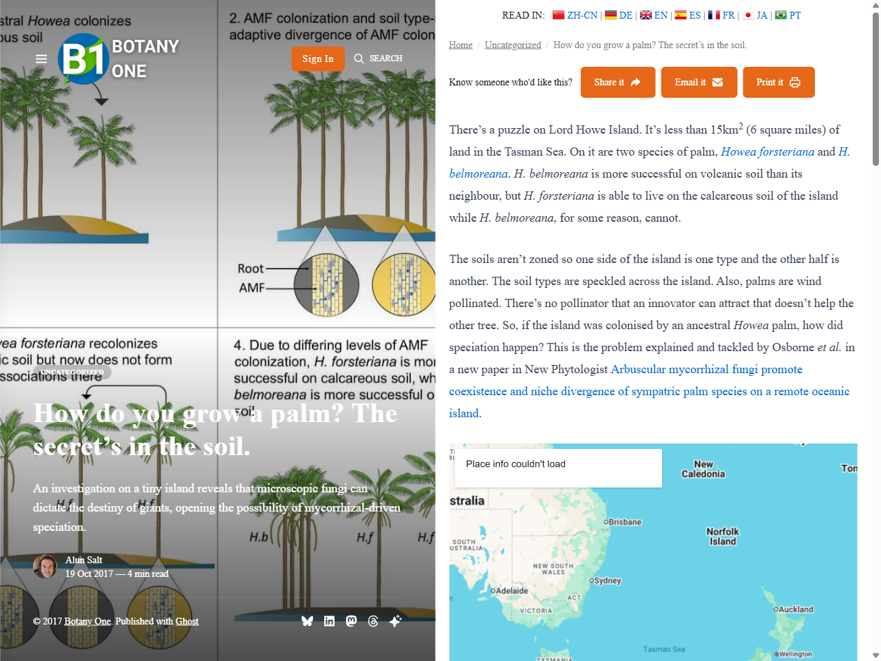 Preview of How do you grow a palm? The secret's in the soil. - Botany One, accessed July 25, 2025, 