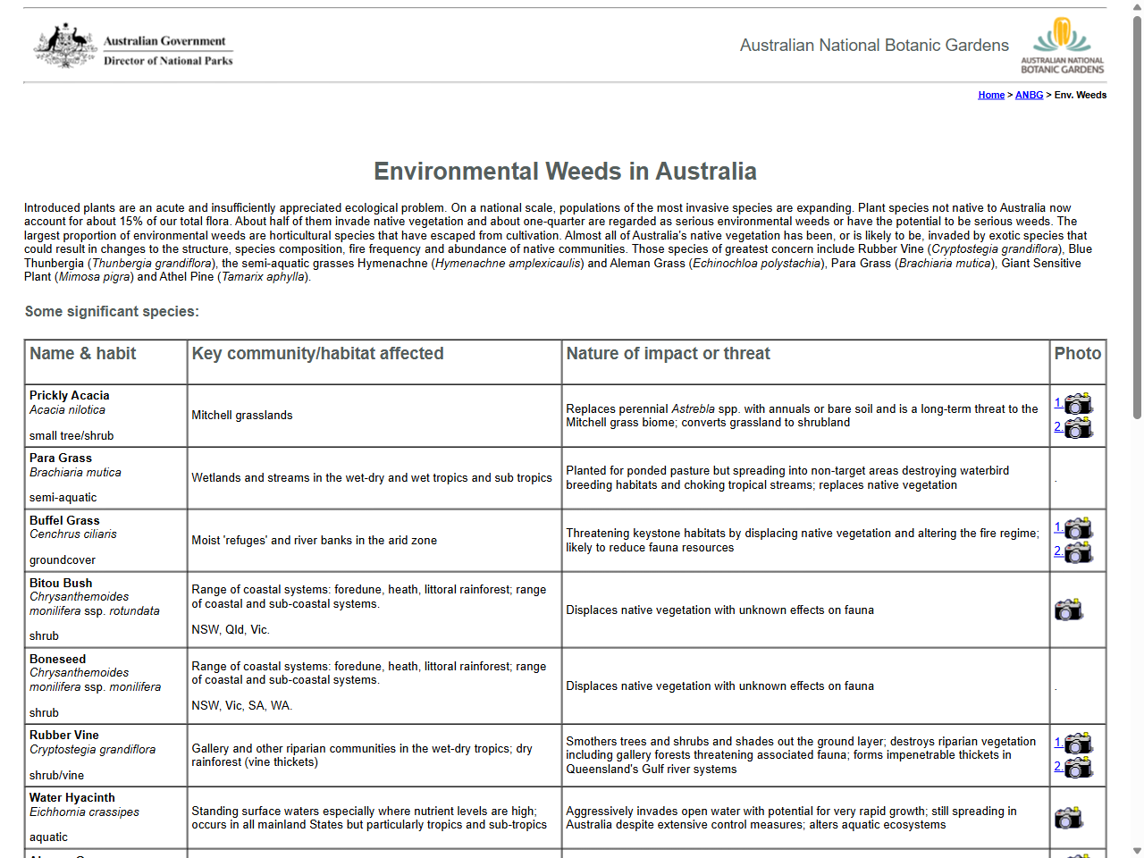Preview of Environmental Weeds in Australia - Australian National Botanic Gardens, accessed July 7, 2025