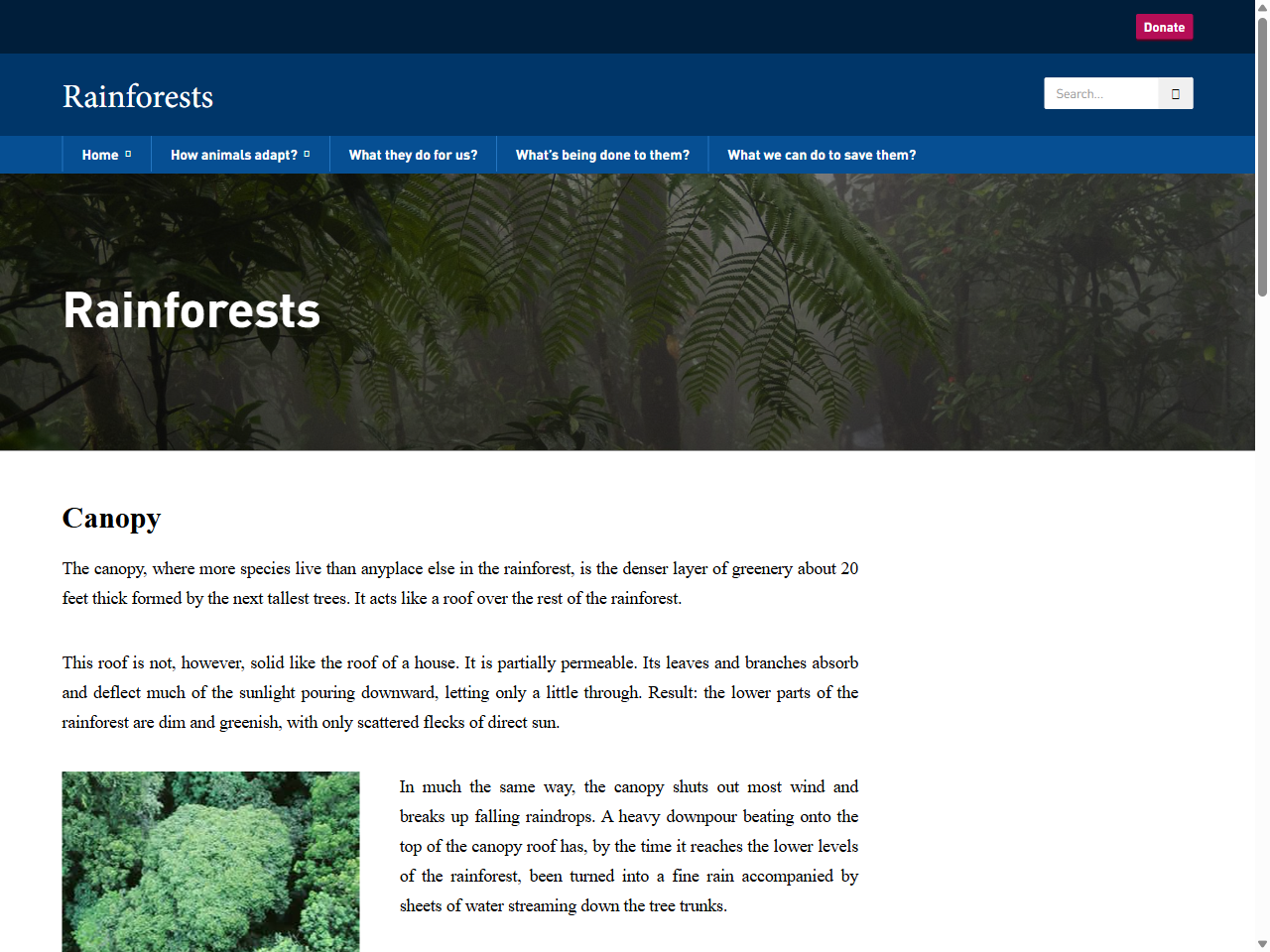 Preview of Nature | Pulu Keeling National Park | Parks Australia, accessed August 2, 2025
