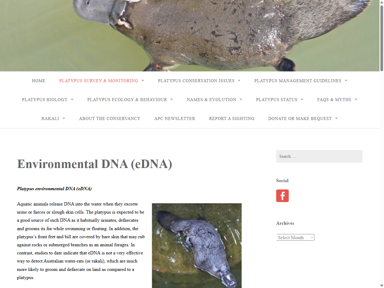 Preview of Environmental DNA (eDNA) - Australian Platypus Conservancy