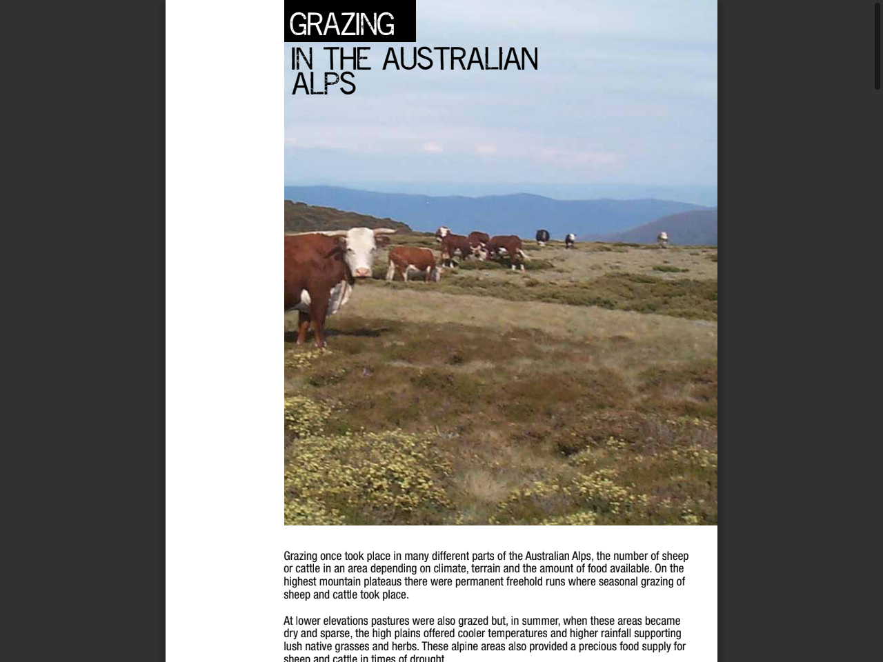 Preview of grazing - in THE AUSTRALIAN ALPS, accessed August 3, 2025,