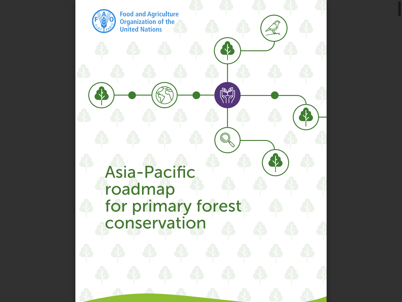 Preview of Asia-Pacific roadmap for primary forest conservation - OceanRep, accessed July 31, 2025