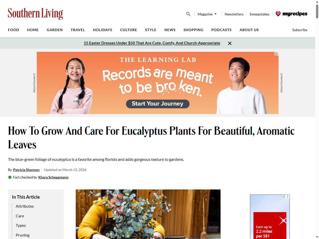 Preview of Southern Living. (n.d.). How To Grow And Care For A Eucalyptus Plant.