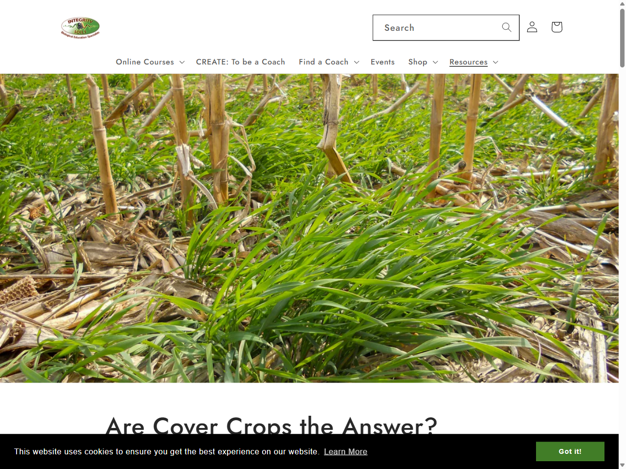 Preview of Are Cover Crops the Answer? - Integrity Soils, accessed August 4, 2025,