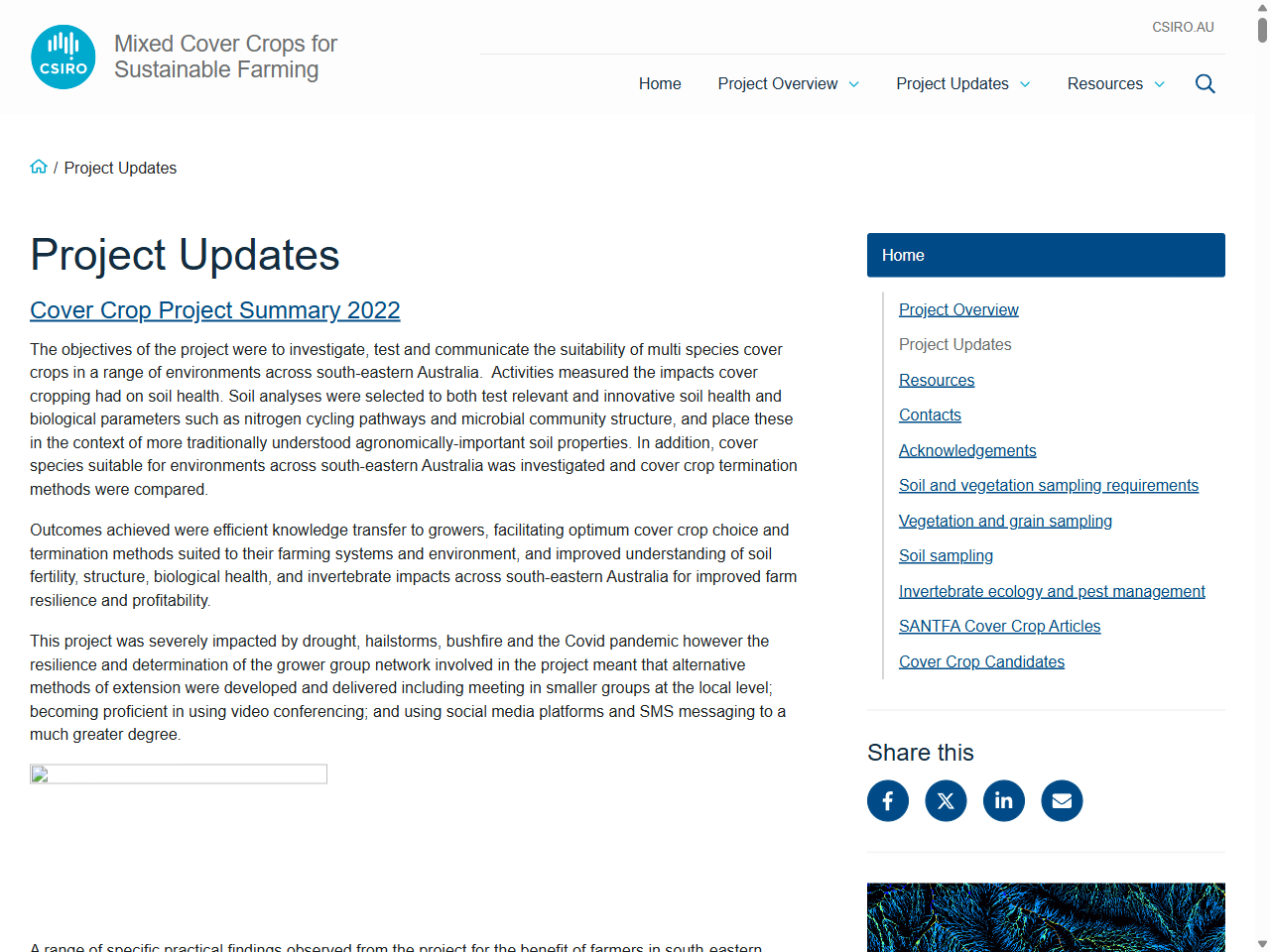 Preview of Project Updates – Mixed Cover Crops for Sustainable Farming - CSIRO Research