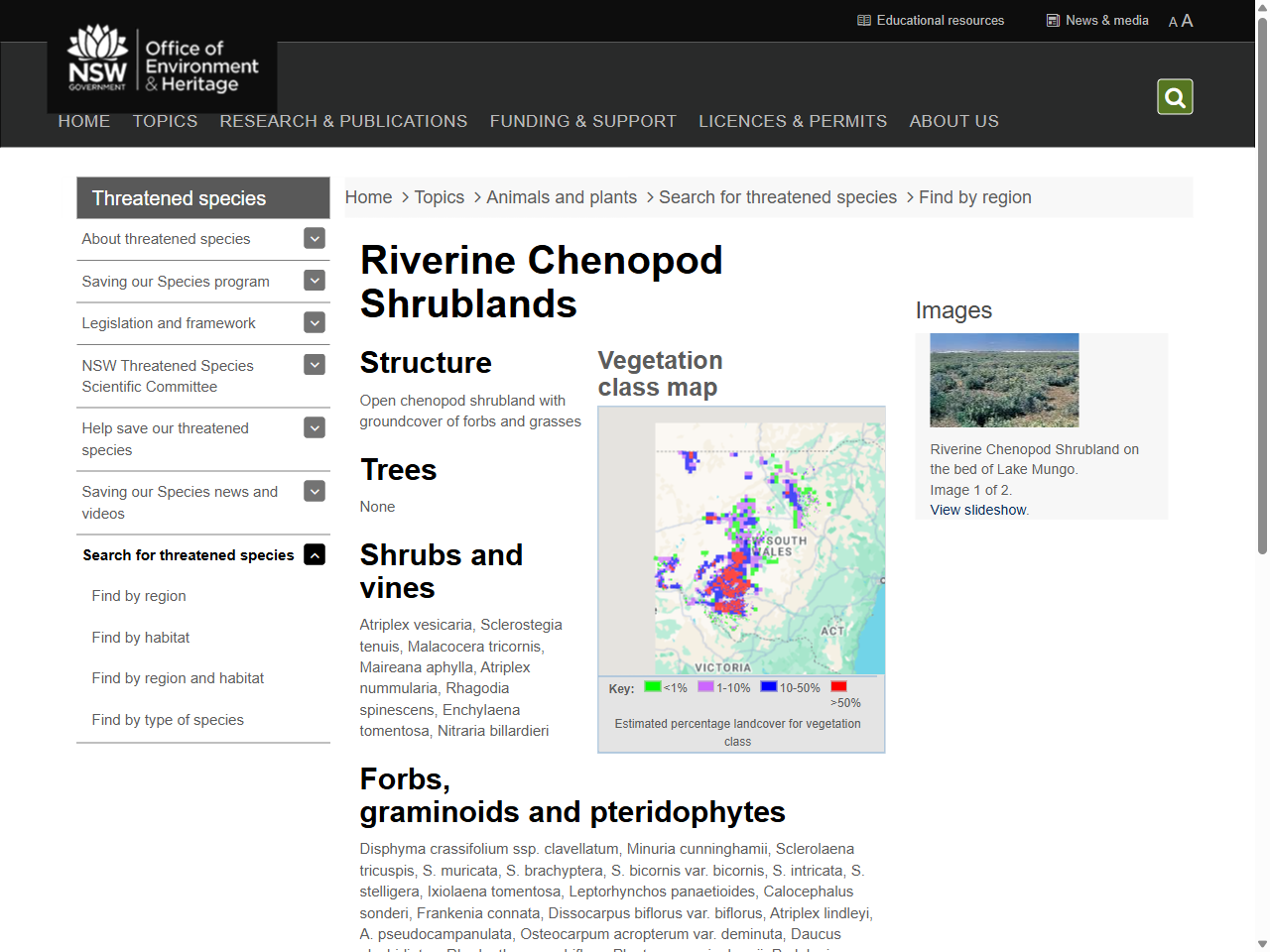 Preview of Semi-arid woodlands (shrubby sub-formation) | NSW Environment, Energy and Science, accessed July 23, 2025