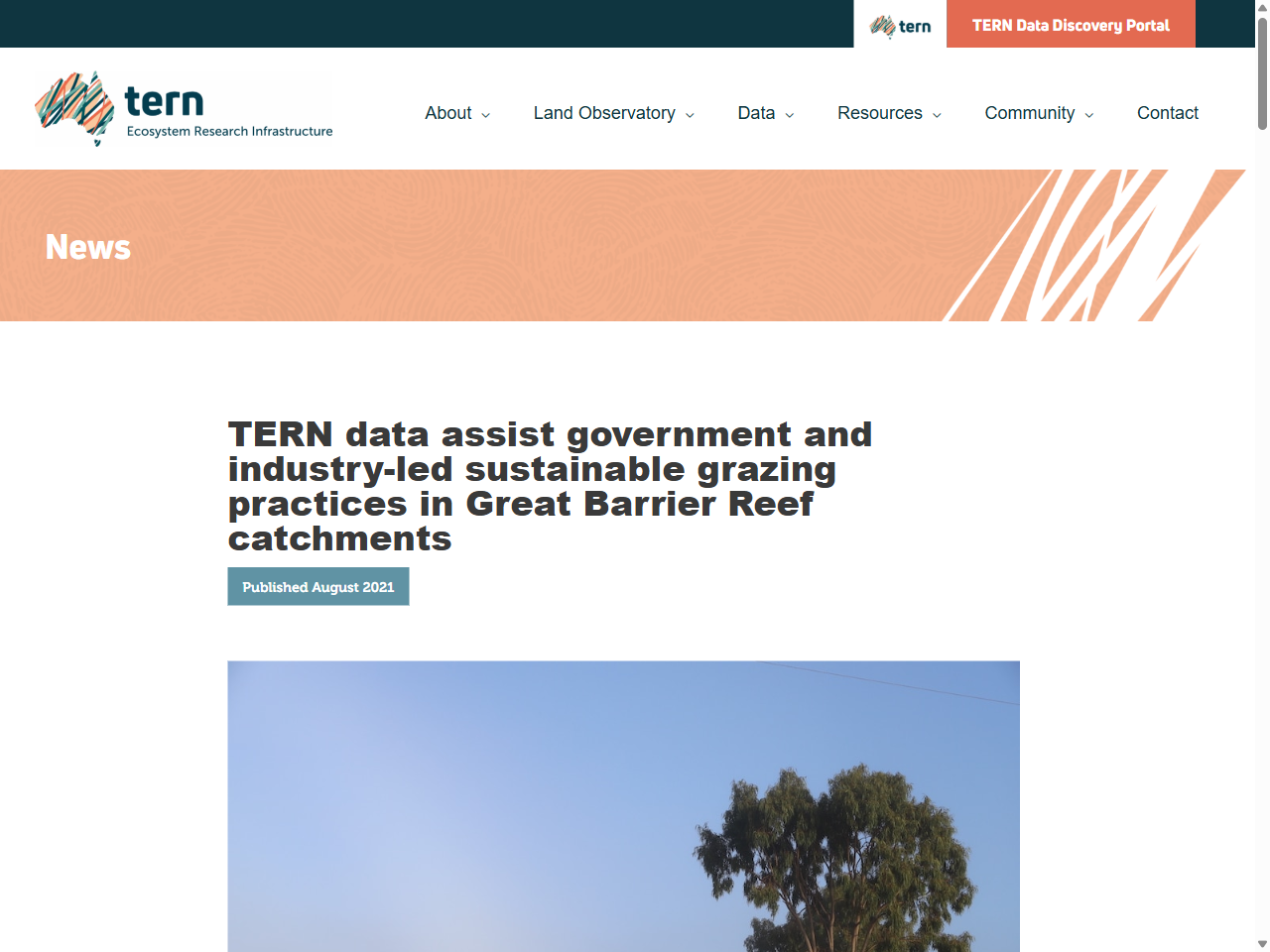 Preview of TERN data assist government and industry-led sustainable grazing practices in Great Barrier Reef catchments - Terrestrial Ecosystem Research Network, accessed on June 5, 2025