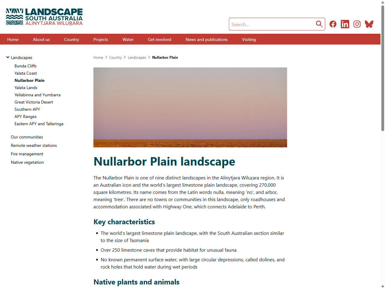 Preview of Nullarbor Plain… - Landscape South Australia - Alinytjara Wilurara, accessed July 23, 2025