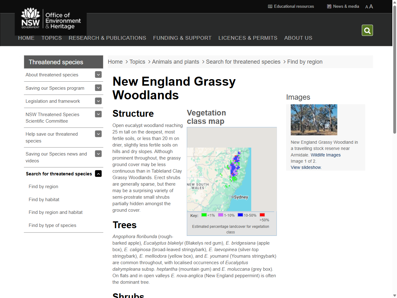 Preview of New England Grassy Woodlands | NSW Environment, Energy and Science, accessed August 12, 2025, 