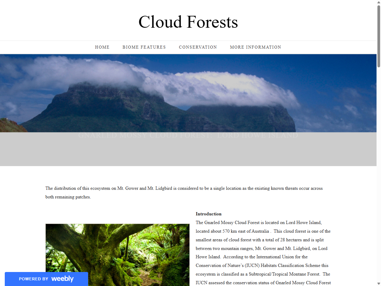 Preview of Permanent Park Preserve - Lord Howe Island, accessed August 2, 2025