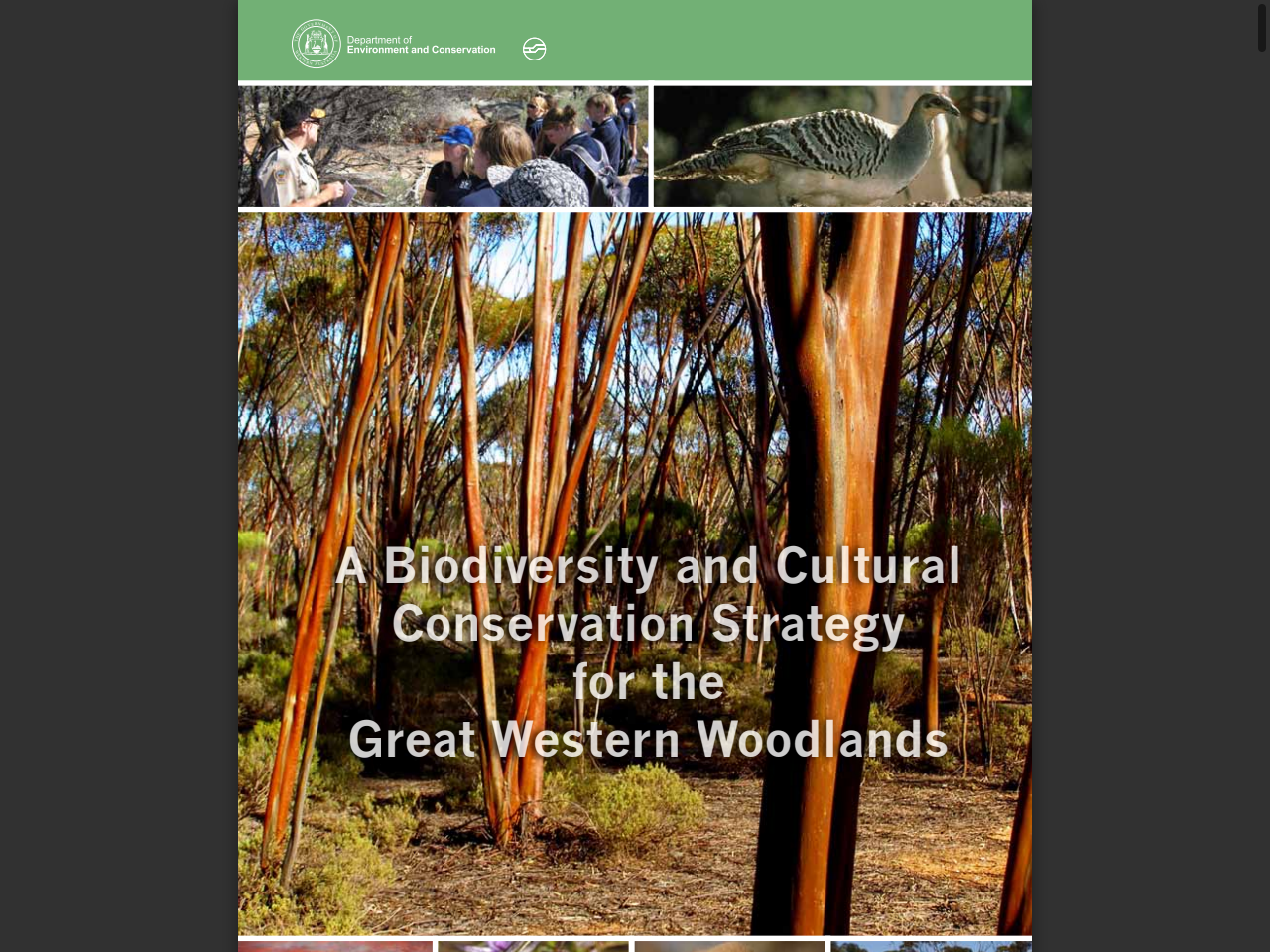 Preview of A Biodiversity and Cultural Conservation Strategy for the Great Western Woodlands - DBCA Library, accessed July 15, 2025