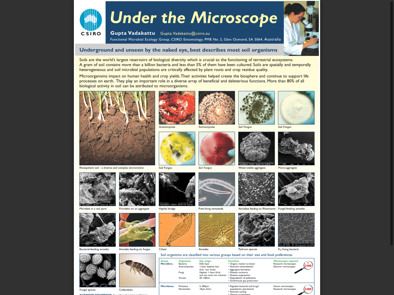 Preview of Fungal-mediated soil aggregation as a mechanism for carbon stabilization - PMC
