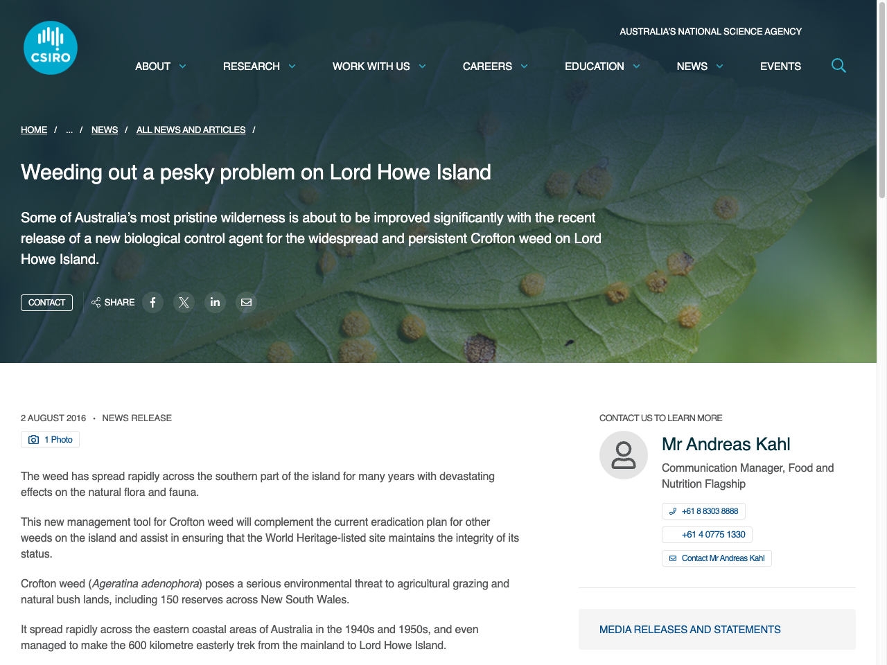 Preview of Weeding out a pesky problem on Lord Howe Island - CSIRO, accessed August 3, 2025, 