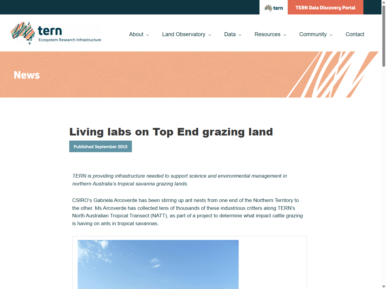 Preview of Wambiana Grazing Trial Ant Abundance Data - TERN Data Discovery Portal