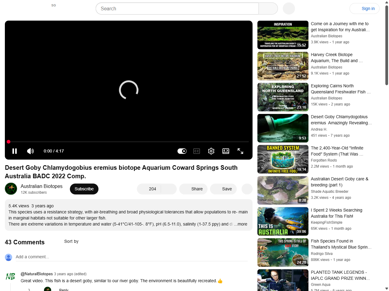 Preview of Desert Goby Chlamydogobius eremius biotope Aquarium Coward Springs South Australia BADC 2022 Comp. - YouTube