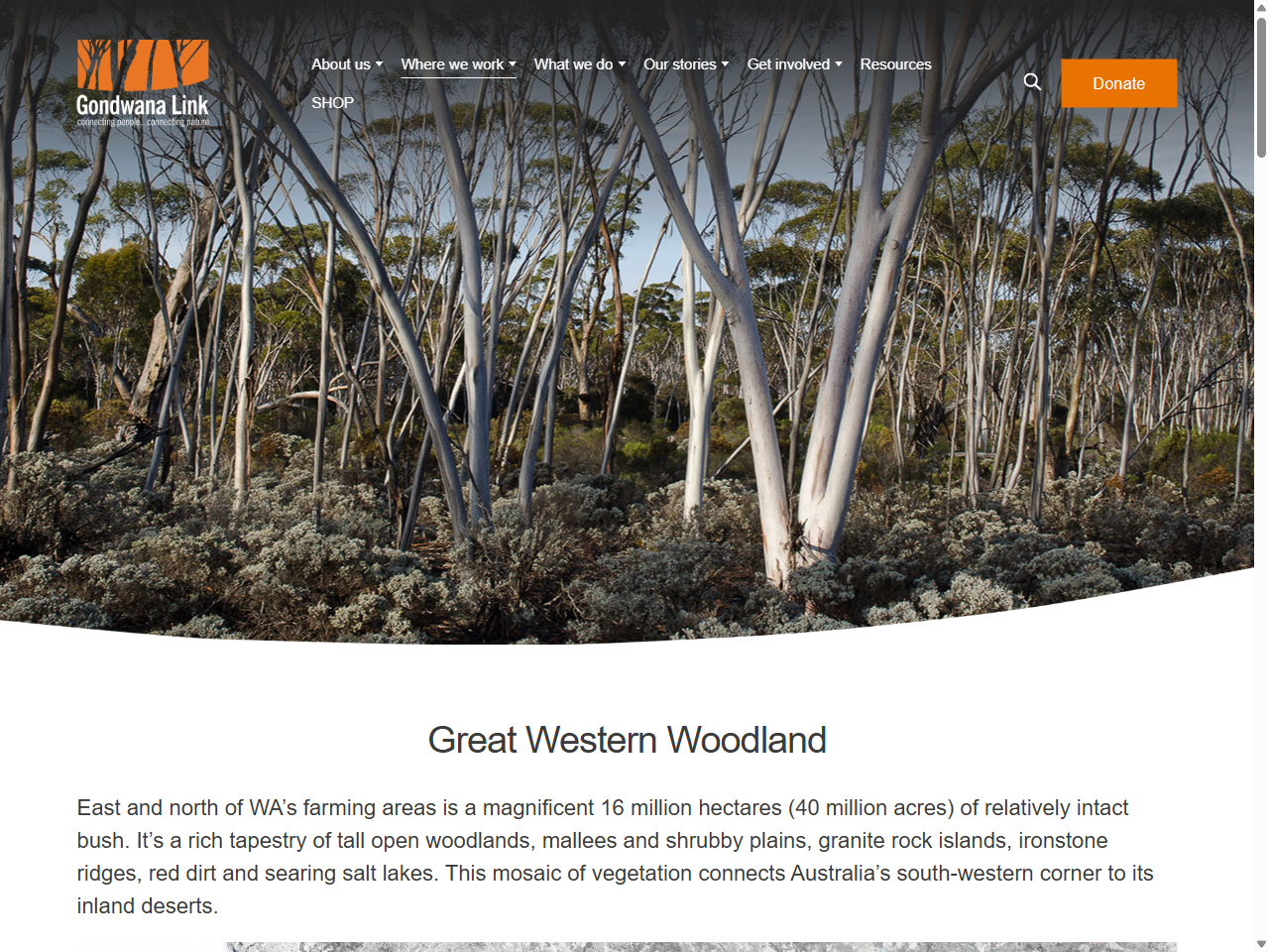 Preview of Great Western Woodlands – Gondwana Link Ltd., accessed July 15, 2025
