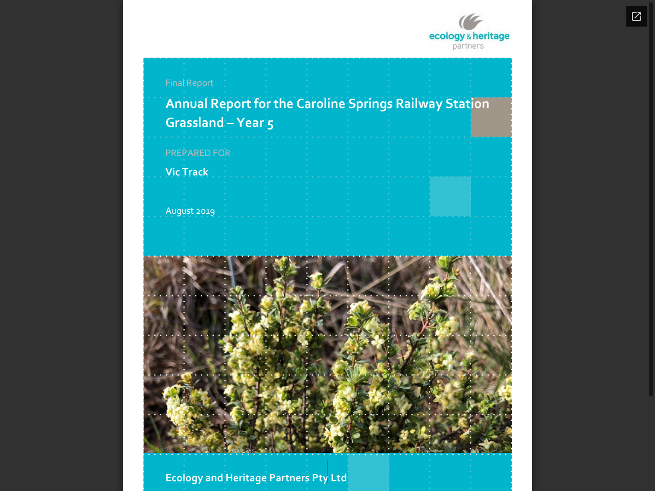 Preview of Eyre, T. J., Kelly, A. L., Neldner, V. J., Wilson, B. A., Ferguson, D. J., Laidlaw, M. J., & Franks, A. J. (2015). BioCondition Benchmarks for Regional Ecosystems: Brigalow Belt. Queensland Herbarium, Department of Science, Information Technology, Innovation and the Arts, Brisbane.