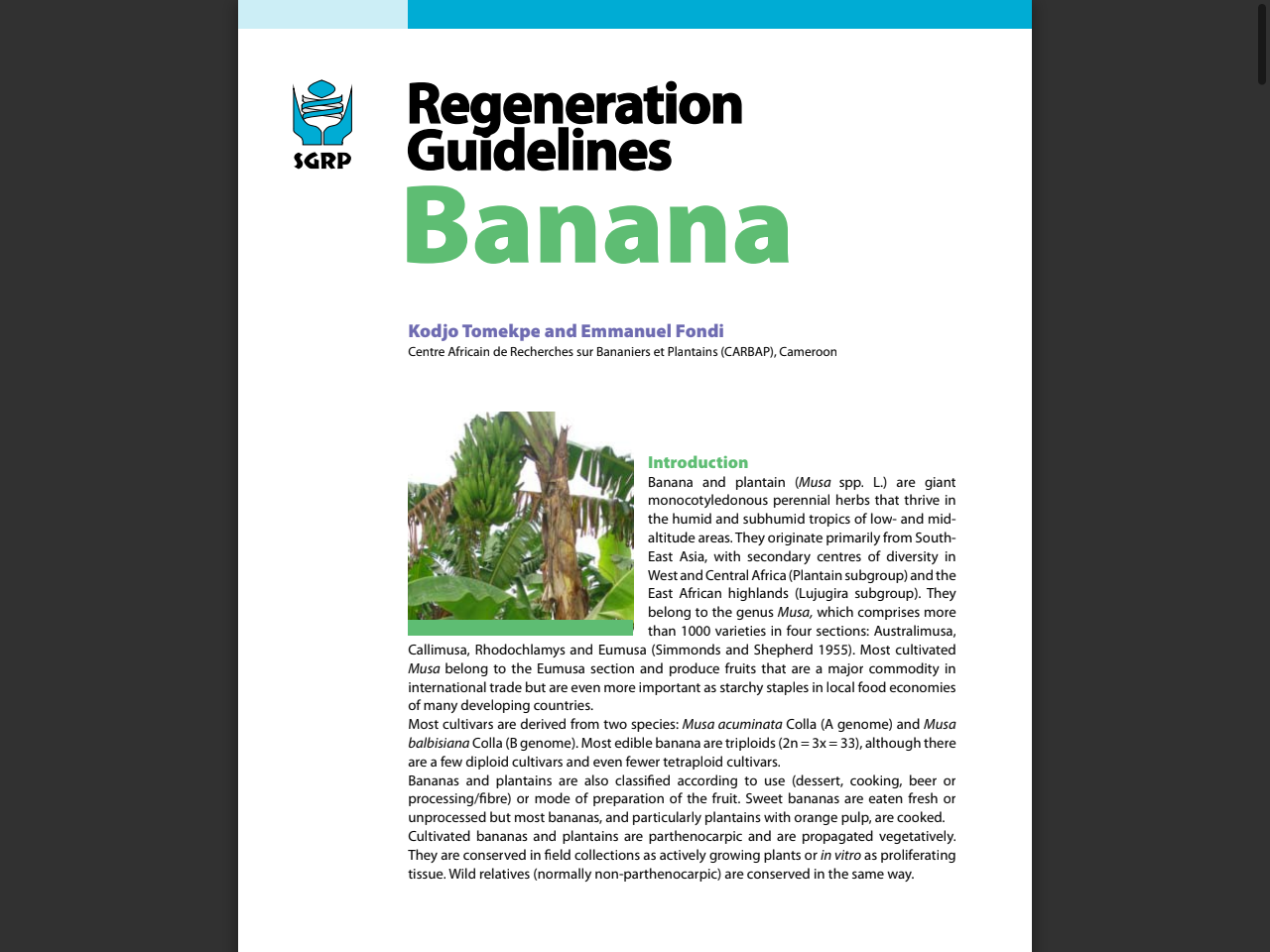 Preview of Regeneration Guidelines: Banana - CGIAR Genebanks, accessed July 16, 2025,