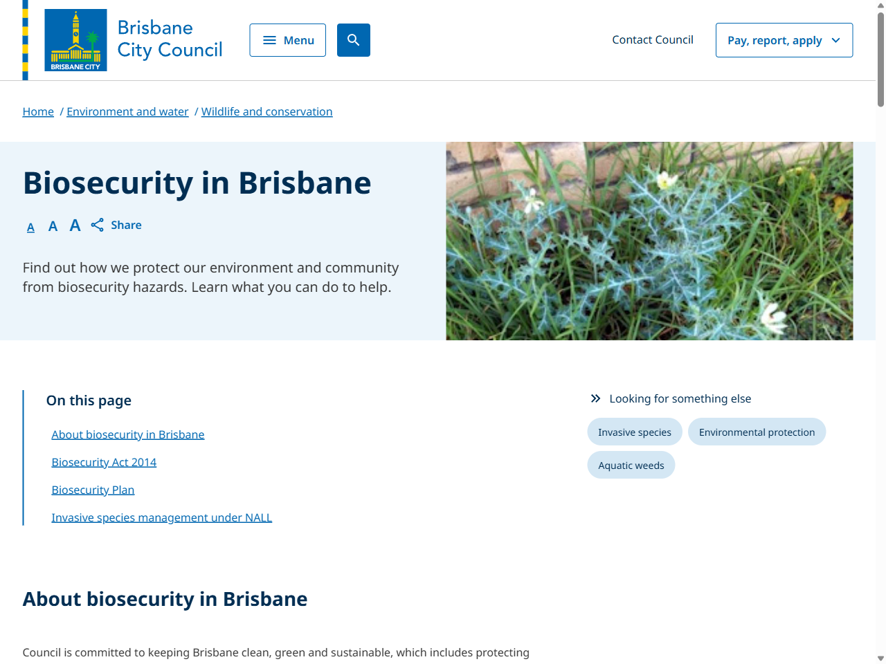 Preview of Queensland Invasive Plants and Animals Strategy 2025–2030 ..., accessed July 21, 2025
