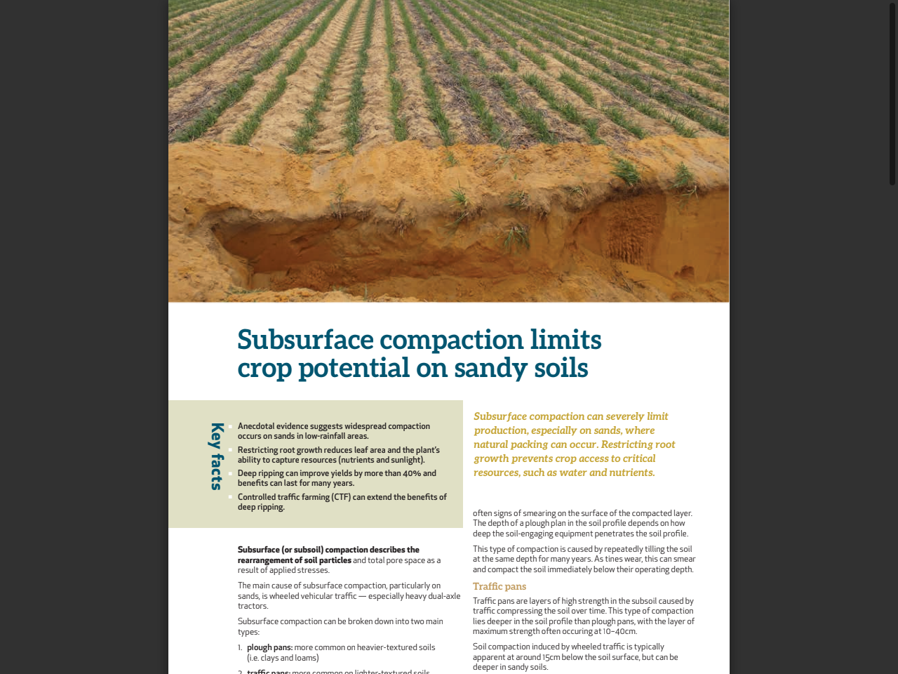 Preview of Managing sandy soils across low-rainfall regions of south-eastern Australia (GRDC Fact Sheet)