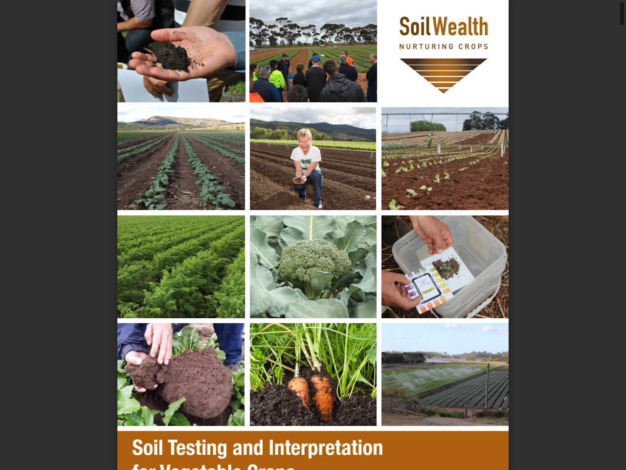 Preview of Soil Testing and Interpretation for Vegetable Crops - AUSVEG, accessed July 24, 2025