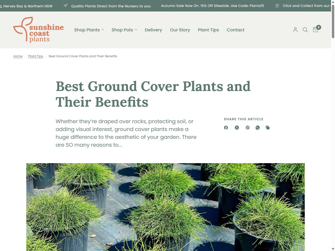 Preview of Ground Cover Monitoring for Australia - DAFF, accessed July 27, 2025, 